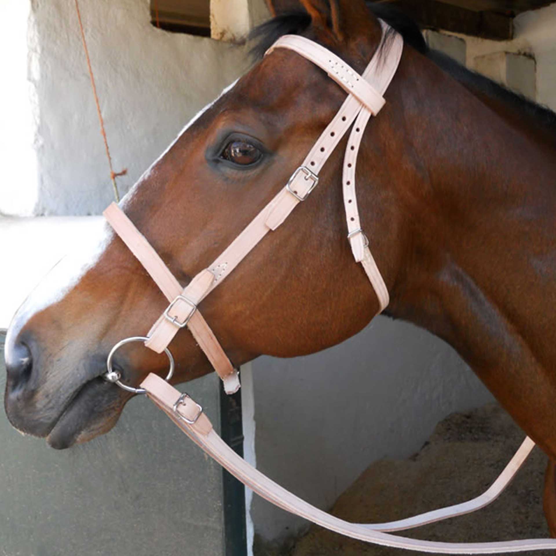 Bridle Farm No Bit
